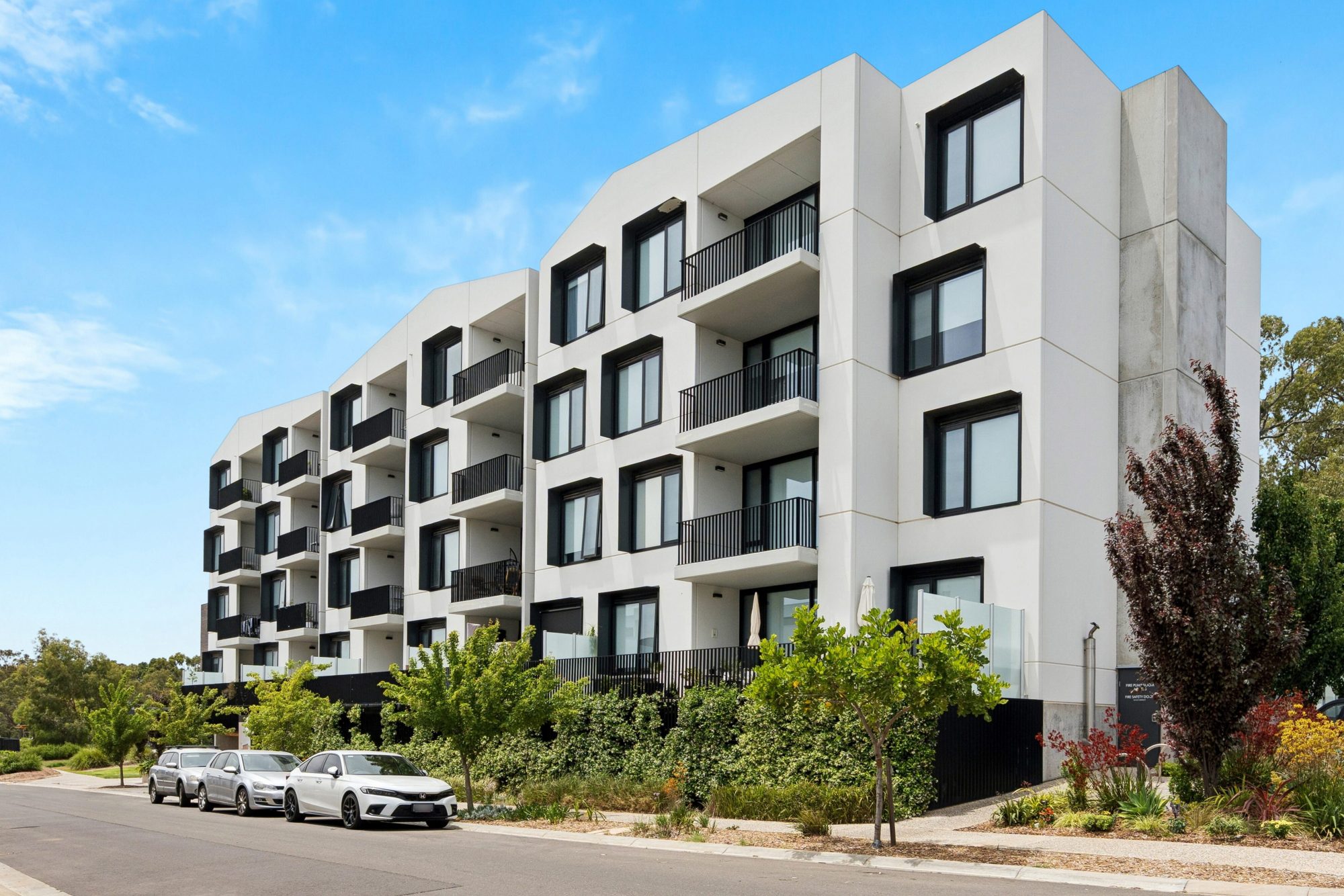 PRINT DSC06902 16 11